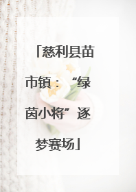 慈利县苗市镇：“绿茵小将”逐梦赛场