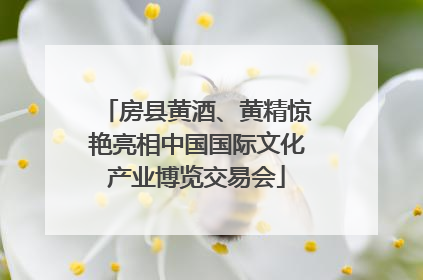 房县黄酒、黄精惊艳亮相中国国际文化产业博览交易会