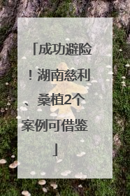 成功避险！湖南慈利、桑植2个案例可借鉴