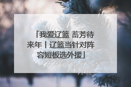 我爱辽篮 蓄芳待来年丨辽篮当针对阵容短板选外援