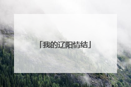 我的辽阳情结