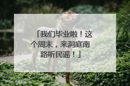 我们毕业啦！这个周末，来洞庭南路听民谣！