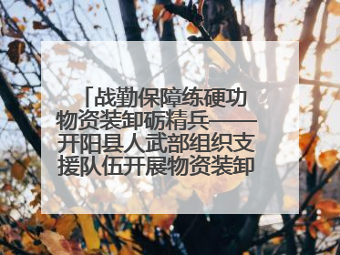 战勤保障练硬功 物资装卸砺精兵——开阳县人武部组织支援队伍开展物资装卸专业训练