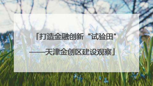 打造金融创新“试验田”——天津金创区建设观察
