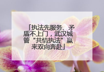 执法先服务、矛盾不上门，武汉城管“共情执法”赢来双向奔赴