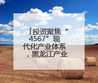 投资聚焦“4567”现代化产业体系,黑龙江产业换新景