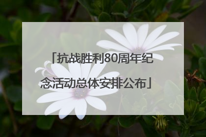 抗战胜利80周年纪念活动总体安排公布