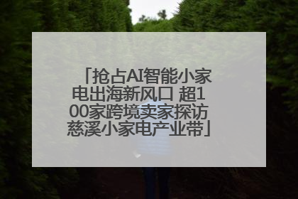抢占AI智能小家电出海新风口 超100家跨境卖家探访慈溪小家电产业带