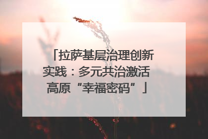拉萨基层治理创新实践：多元共治激活高原“幸福密码”