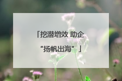 挖潜增效 助企“扬帆出海”