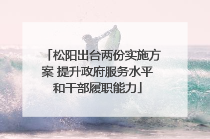 松阳出台两份实施方案 提升政府服务水平和干部履职能力