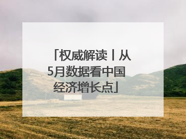 权威解读丨从5月数据看中国经济增长点