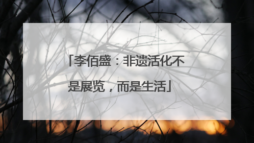 李佰盛：非遗活化不是展览，而是生活