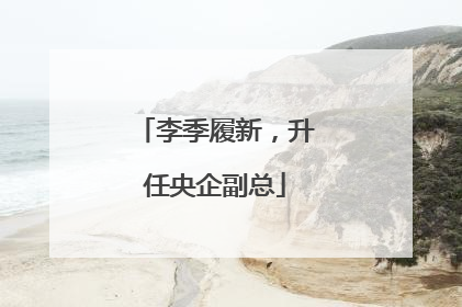 李季履新，升任央企副总