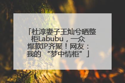 杜淳妻子王灿兮晒整柜Labubu，一众爆款IP齐聚！网友：我的 “梦中情柜”