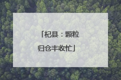 杞县：颗粒归仓丰收忙