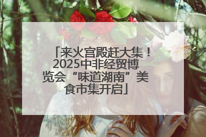 来火宫殿赶大集！2025中非经贸博览会“味道湖南”美食市集开启