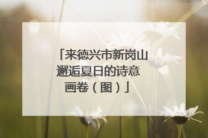 来德兴市新岗山 邂逅夏日的诗意画卷（图）