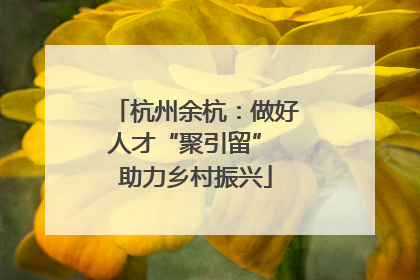 杭州余杭：做好人才“聚引留” 助力乡村振兴