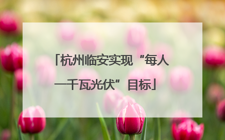 杭州临安实现“每人一千瓦光伏”目标