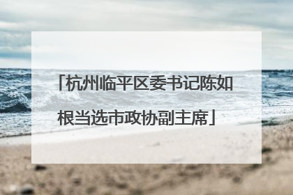 杭州临平区委书记陈如根当选市政协副主席