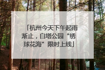 杭州今天下午起雨渐止，白塔公园“绣球花海”限时上线