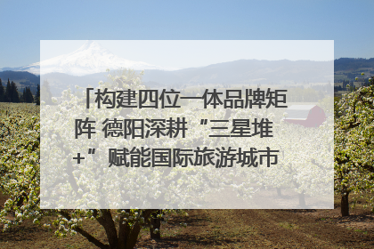构建四位一体品牌矩阵 德阳深耕“三星堆+”赋能国际旅游城市建设｜文旅局长说