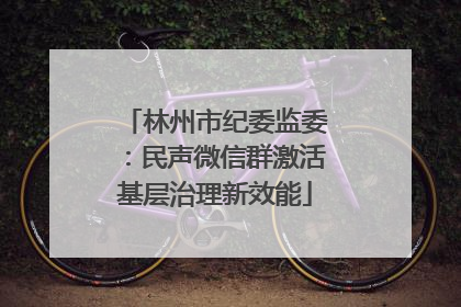 林州市纪委监委：民声微信群激活基层治理新效能