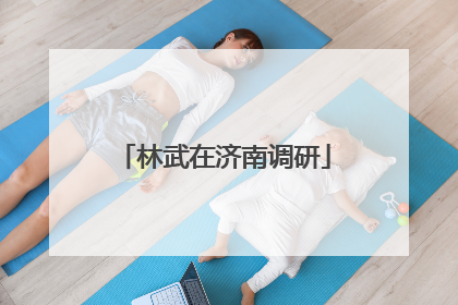 林武在济南调研