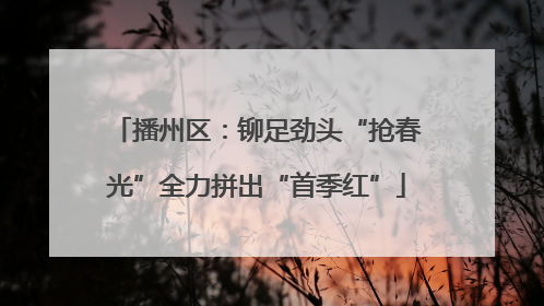 播州区：铆足劲头“抢春光”全力拼出“首季红”