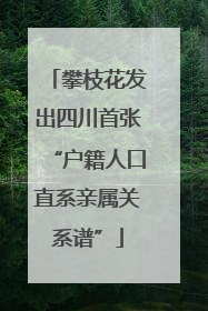 攀枝花发出四川首张“户籍人口直系亲属关系谱”