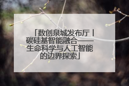 数创泉城发布厅丨碳硅基智能融合——生命科学与人工智能的边界探索