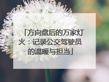 方向盘后的万家灯火：记录公交驾驶员的温暖与担当