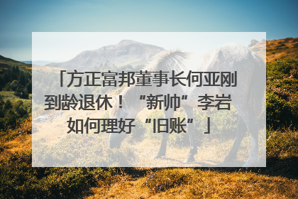 方正富邦董事长何亚刚到龄退休！“新帅”李岩如何理好“旧账”