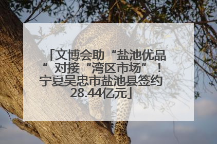 文博会助“盐池优品”对接“湾区市场”！宁夏吴忠市盐池县签约28.44亿元