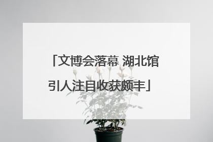 文博会落幕 湖北馆引人注目收获颇丰