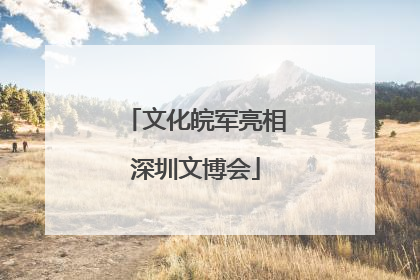 文化皖军亮相深圳文博会