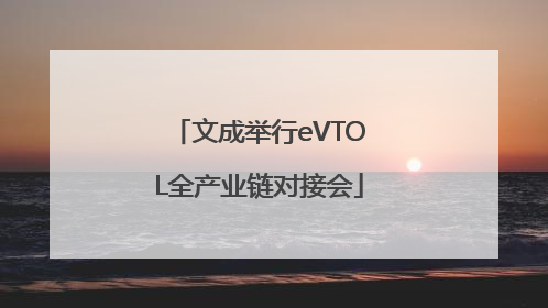文成举行eVTOL全产业链对接会