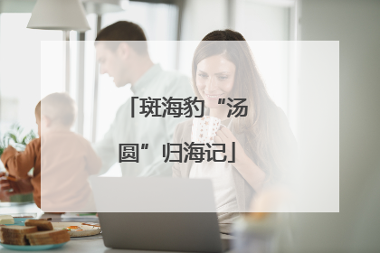 斑海豹“汤圆”归海记