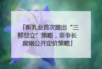 新乳业首次提出“三鲜鼎立”策略，董事长席刚公开定价策略