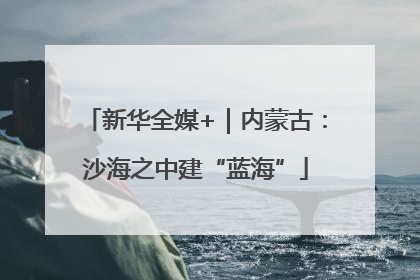 新华全媒+｜内蒙古：沙海之中建“蓝海”