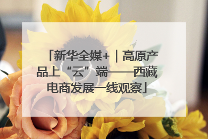 新华全媒+｜高原产品上“云”端——西藏电商发展一线观察