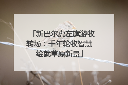新巴尔虎左旗游牧转场：千年轮牧智慧绘就草原新景