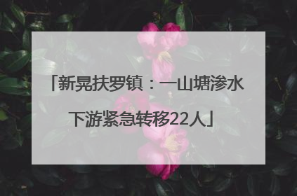 新晃扶罗镇：一山塘渗水 下游紧急转移22人