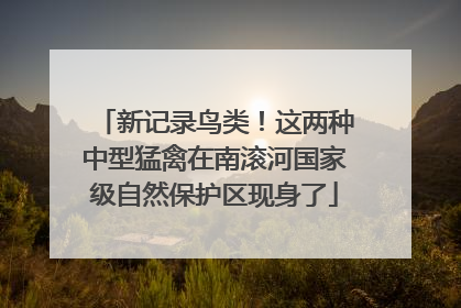 新记录鸟类！这两种中型猛禽在南滚河国家级自然保护区现身了