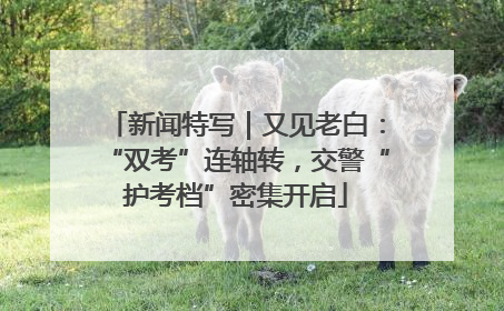新闻特写｜又见老白：“双考”连轴转，交警“护考档”密集开启