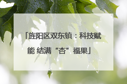 旌阳区双东镇：科技赋能 结满“杏”福果
