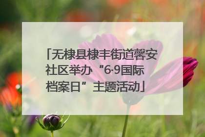 无棣县棣丰街道馨安社区举办“6·9国际档案日”主题活动