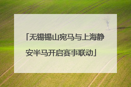无锡锡山宛马与上海静安半马开启赛事联动