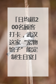 日均超200名顾客打卡，武汉这家“宠物馆子”能定制生日宴